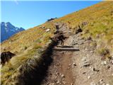 Rifugio Viel del Pan